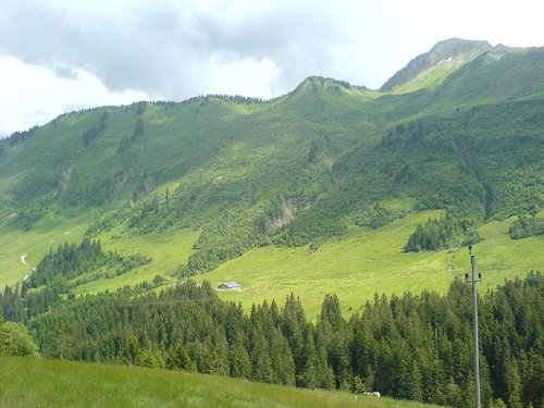 A view of Bregenzerwald in Vorarlberg