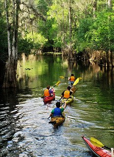 Kayaking in Florida