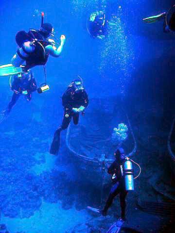 A group of scuba divers about to explore a shipwreck