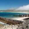 The Inside Out to Cornwall