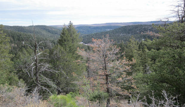 Lincoln national forest Ruidoso Mexico