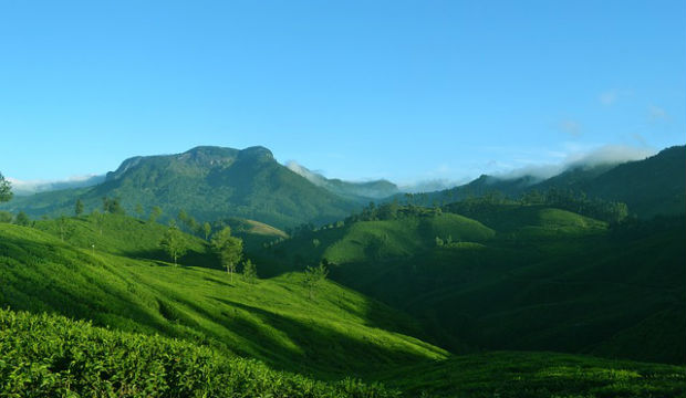 Munnar, Kerala