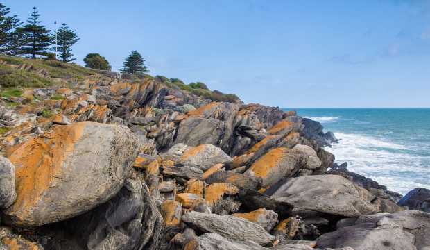 Kangaroo Island nature