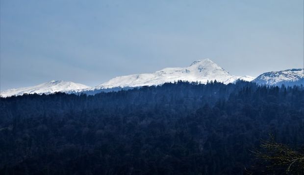 Pangarchulla peak